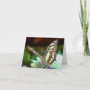 Fjäril på blomma naturfotografi  anteckningskort