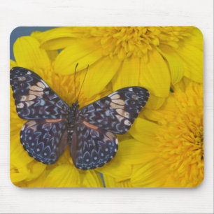 Fjäril på en gul blomma musmatta