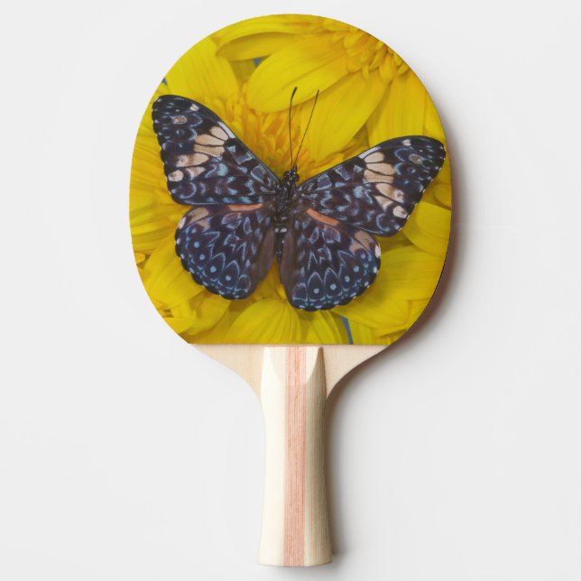 Fjäril på en gul blomma pingisracket (Framsidan)