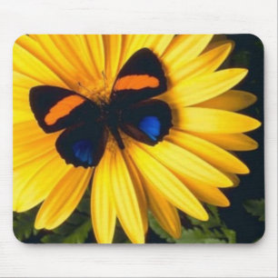Fjäril på gul daisy musmatta
