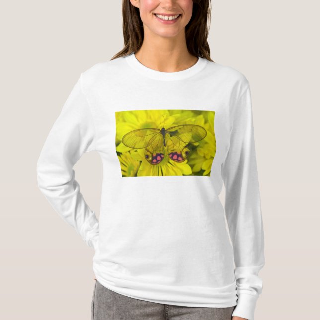 Fjäril på gul tee shirt (Framsida)