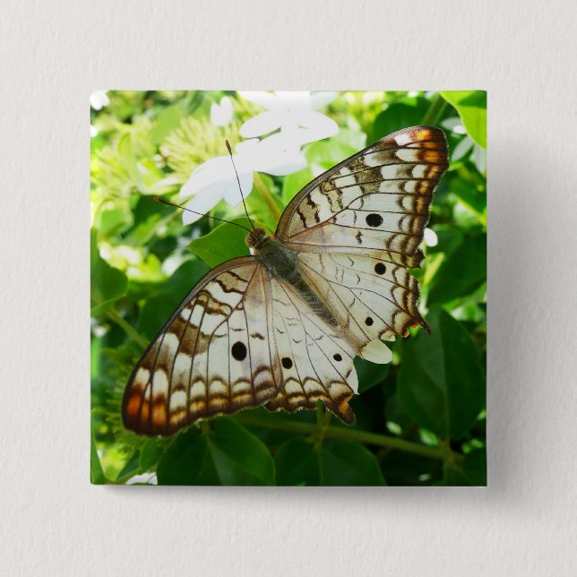 Fjäril på jasmin Tropisk naturfotografering Knapp (Framsida)