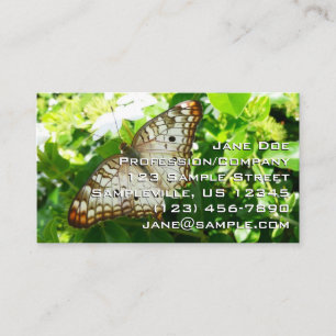 Fjäril på jasmin Tropisk naturfotografering Visitkort