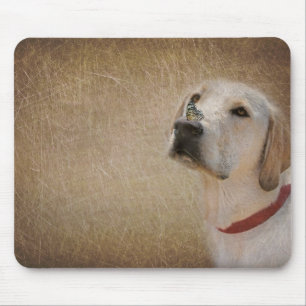 fjäril på labradors näsa musmatta