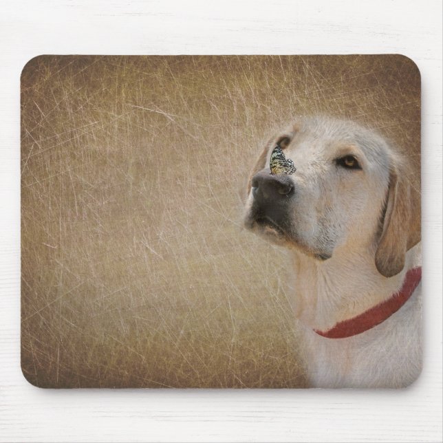 fjäril på labradors näsa musmatta (Framsidan)