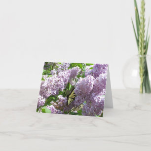 Fjäril på lila Notecard Kort