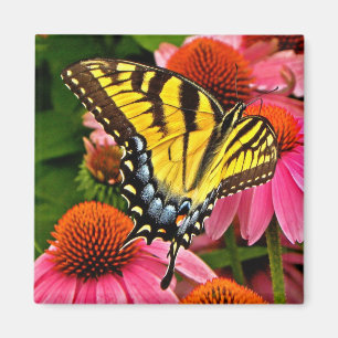 Fjäril på magneten för blomma v22 magnet