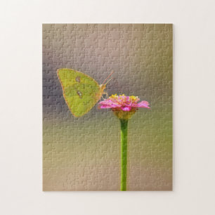 Fjäril på rosa zinnia-blomma Naturpussel Pussel