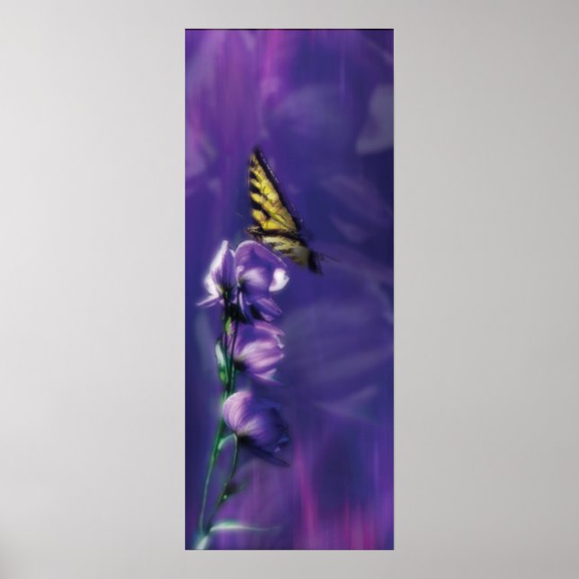fjäril poster (Framsidan)