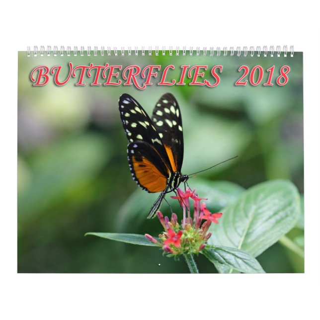 Fjärilar 2018 kalender (Omslag)