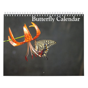 Fjärilar 2025 kalender