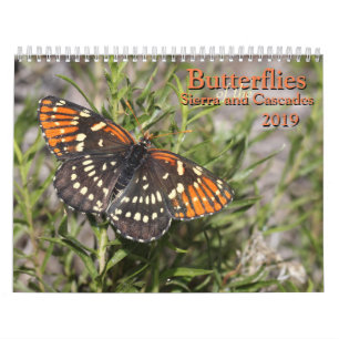 Fjärilar av Sierran och kaskaderna Kalender