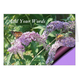 Fjärilar ButterflyBush-skräddarsy på Hälsningskort