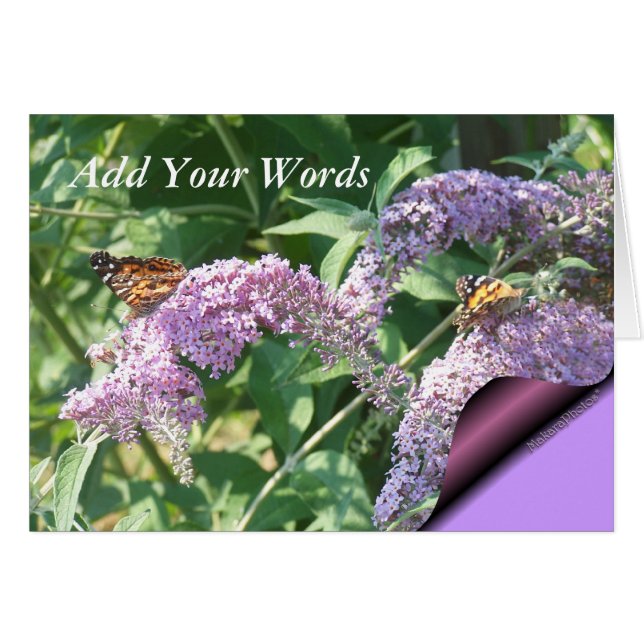 Fjärilar ButterflyBush-skräddarsy på Hälsningskort (Framsidan Horizontal)