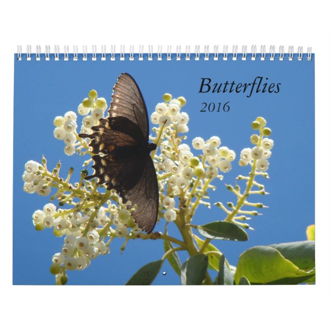 Fjärilar för 2016 kalender (Omslag)