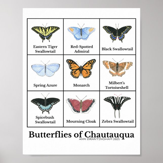 Fjärilar i Chautauqua Poster (Framsidan)