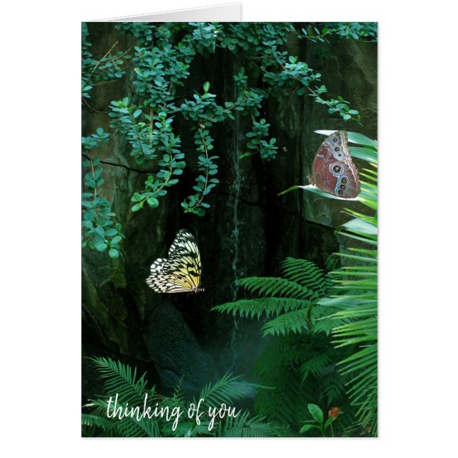 fjärilar i tropiska trädgårdar hälsningskort (Framsidan)