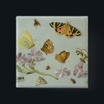 Fjärilar, malar och andra insekter knapp<br><div class="desc">Fjärilar,  malar och andra insekter med en sprig av vintergrönaen | med den Jan skåpbilen,  läget för fläderKessel | konst: Privat samling | som den Flemish konstnären | avbildar samlingen,  numrerar: BAL199458</div>