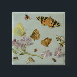 Fjärilar, malar och andra insekter knapp<br><div class="desc">Fjärilar,  malar och andra insekter med en sprig av vintergrönaen | med den Jan skåpbilen,  läget för fläderKessel | konst: Privat samling | som den Flemish konstnären | avbildar samlingen,  numrerar: BAL199458</div>