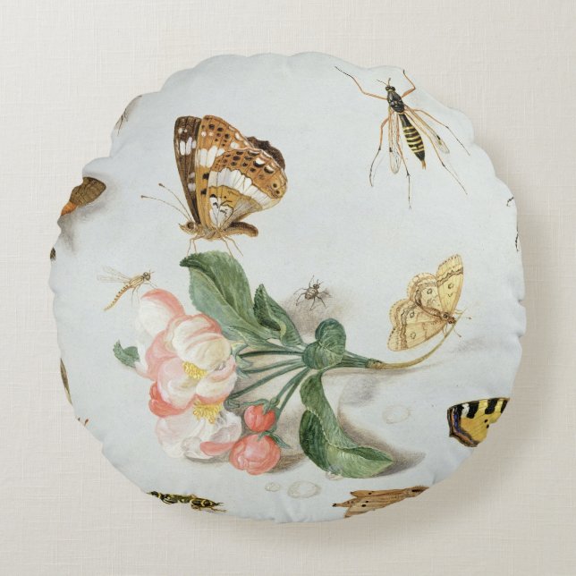 Fjärilar, malar och andra insekter rund kudde (Framsidan)