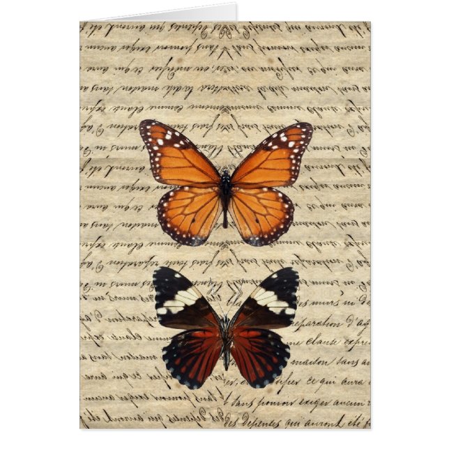 fjärilar OBS kort (Framsidan)