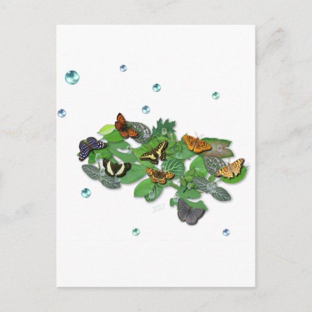 Fjärilar på blad vykort (Framsida)