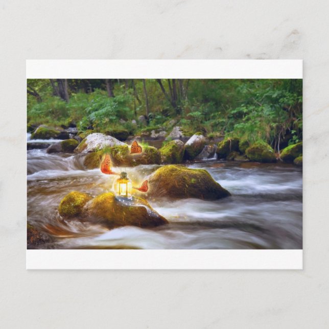 Fjärilar Vykort (Framsida)