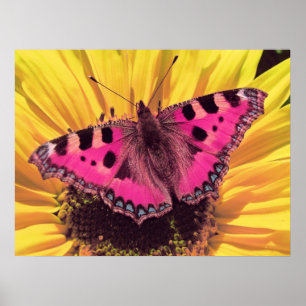 Fjärilen är en flygblomma poster