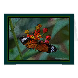 Fjärilen för LeopardLacewing (Cethosia cyane) Hälsningskort