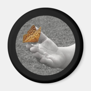 Fjärilen knäppas magnet