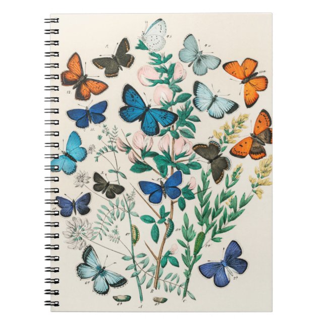 Fjärilillustrationer Anteckningsbok (Framsidan)