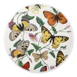 Fjärils Blommig Skåplucka Knopp