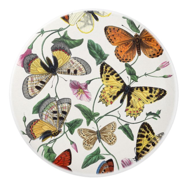 Fjärils Blommig Skåplucka Knopp (Framsidan)