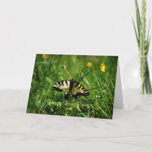Fjärils- och Buttercupsvårdagjämning Kort