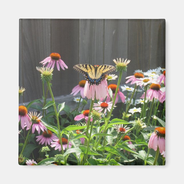 Fjärils- och kotteblommor magnet (Framsidan)