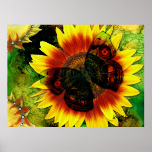 Fjärilsblomma Poster
