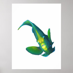 Fjärilsfisk - Abstrakt design - Utklippt från ett Poster