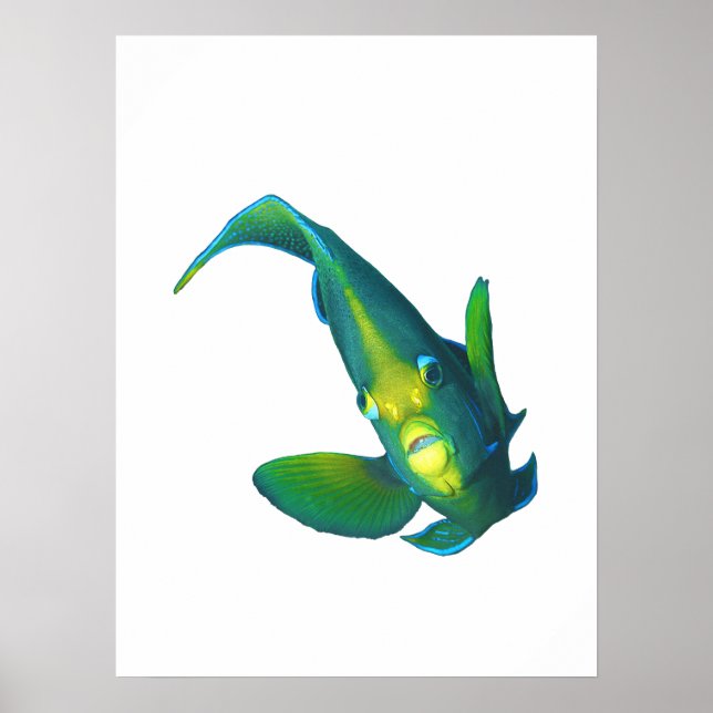 Fjärilsfisk - Abstrakt design - Utklippt från ett  Poster (Framsidan)