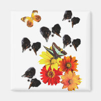 Fjärilsgåvor Papillon