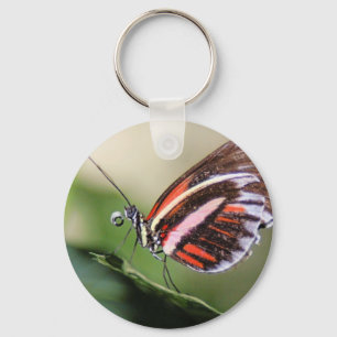 FjärilsID Keychain Nyckelring