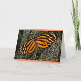 Fjärilsinspiration Kort
