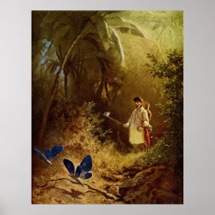 Fjärilsjägaren Poster