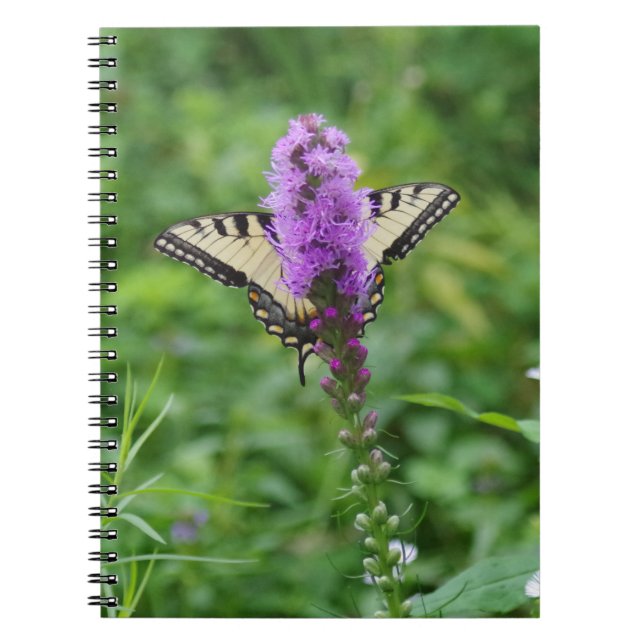 Fjärilsjournal Anteckningsbok Med Spiral (Framsidan)