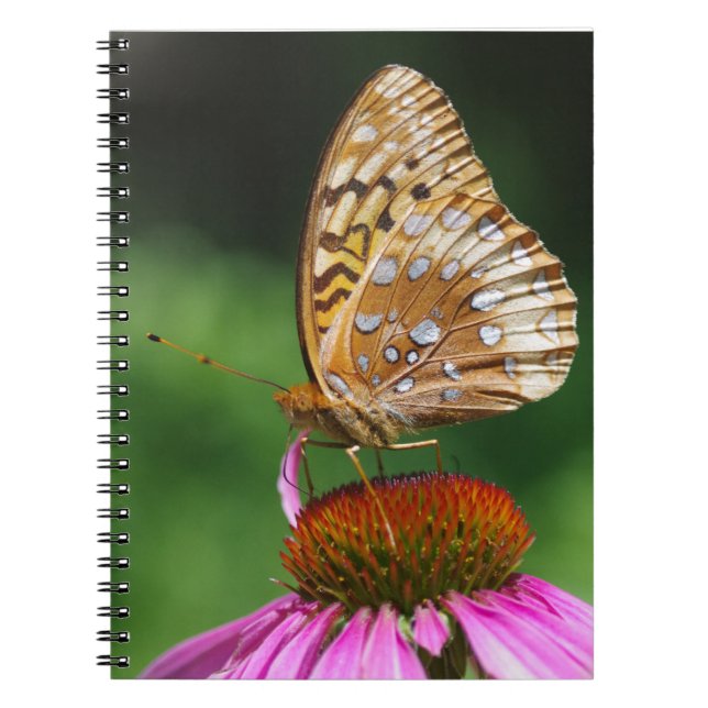 Fjärilsjournal Anteckningsbok Med Spiral (Framsidan)