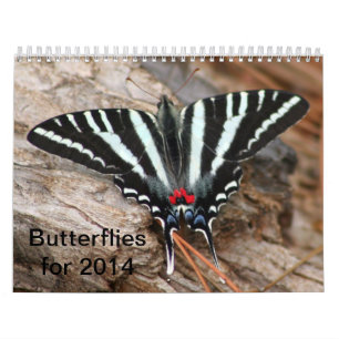 Fjärilskalender 2014 kalender