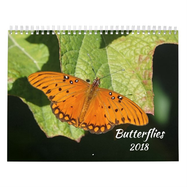 Fjärilskalender 2018 kalender (Omslag)