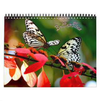 Fjärilskalender Kalender
