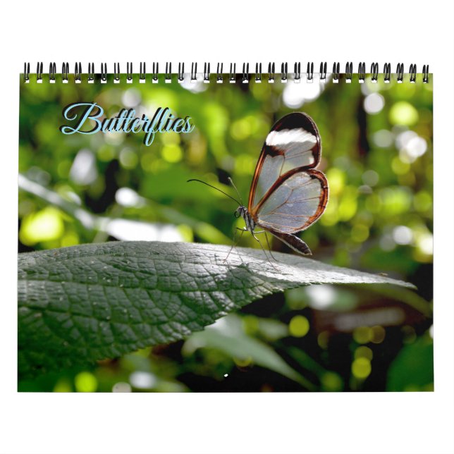 Fjärilskalender Kalender (Omslag)