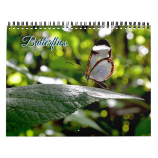Fjärilskalender Kalender