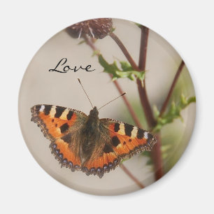Fjärilskärlekmagnet Magnet